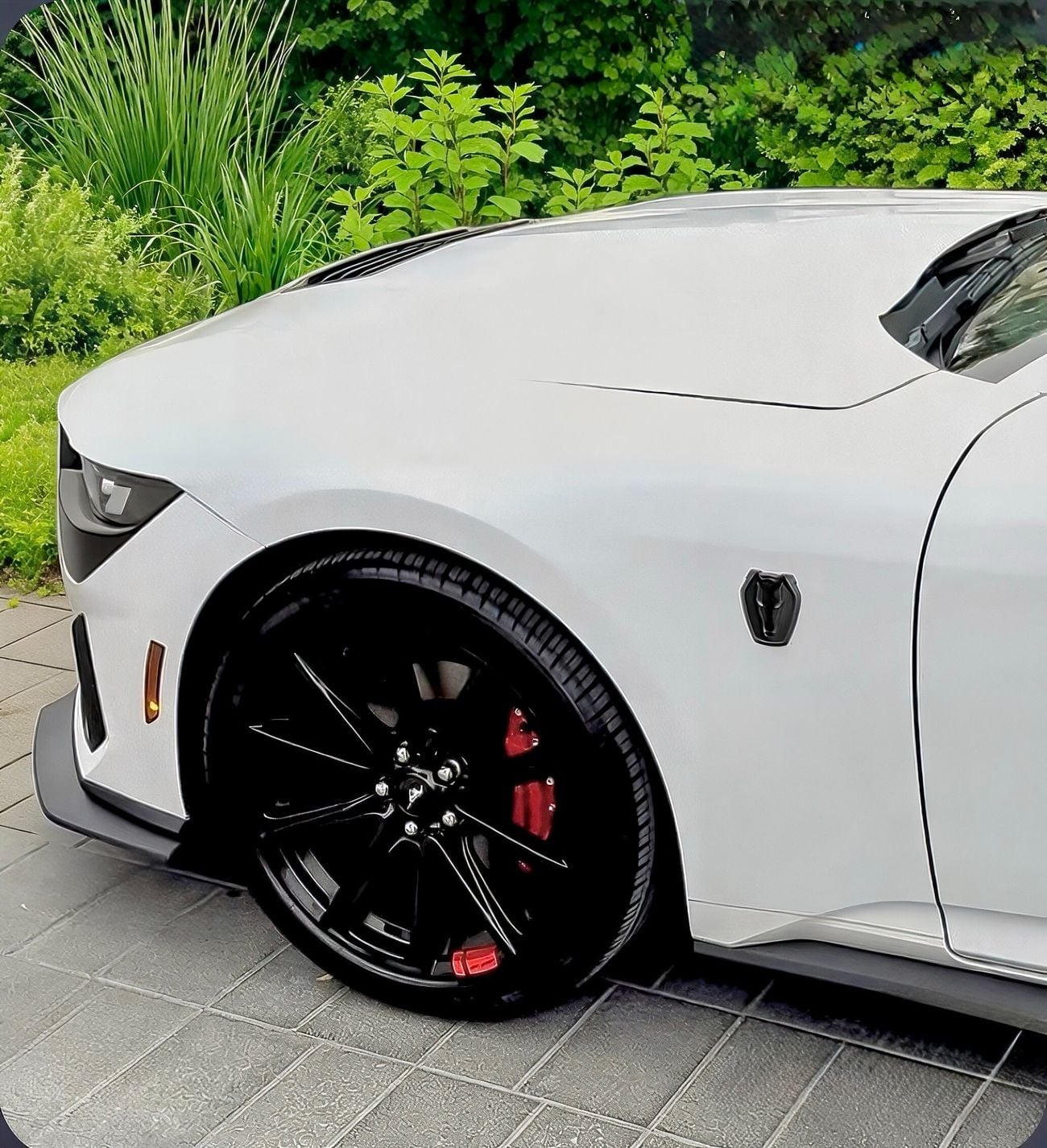 Ford Mustang EcoBoost Premium 2.3L Coupe A/T Almost new Mustang EcoBoost with Dark Horse kit, excellent condition