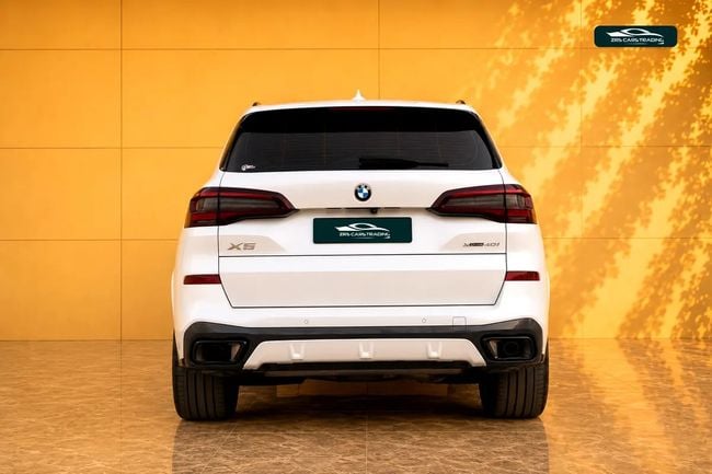 BMW X5 XDRIVE40i M SPORT, миниатюра 19