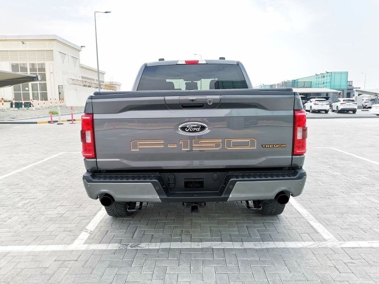 Ford F 150 Ford F-150 Tremor - 2023 - Grey