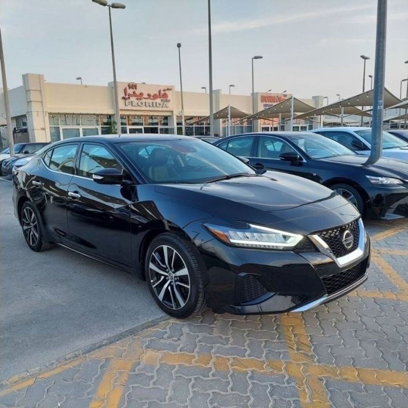 Nissan Maxima SV.  V6