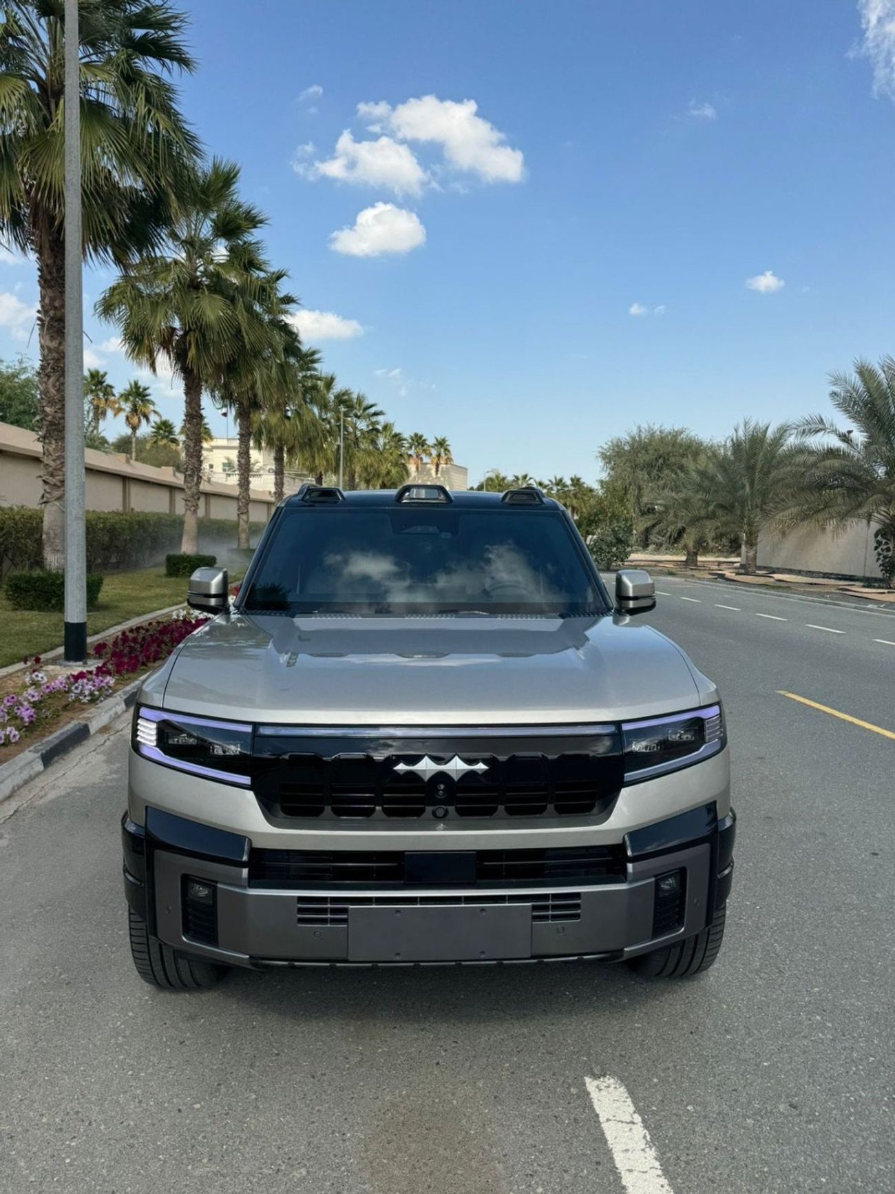 بي واي دي ليوبارد 8 Smart and Brave Flagship Edition (7 Seats)