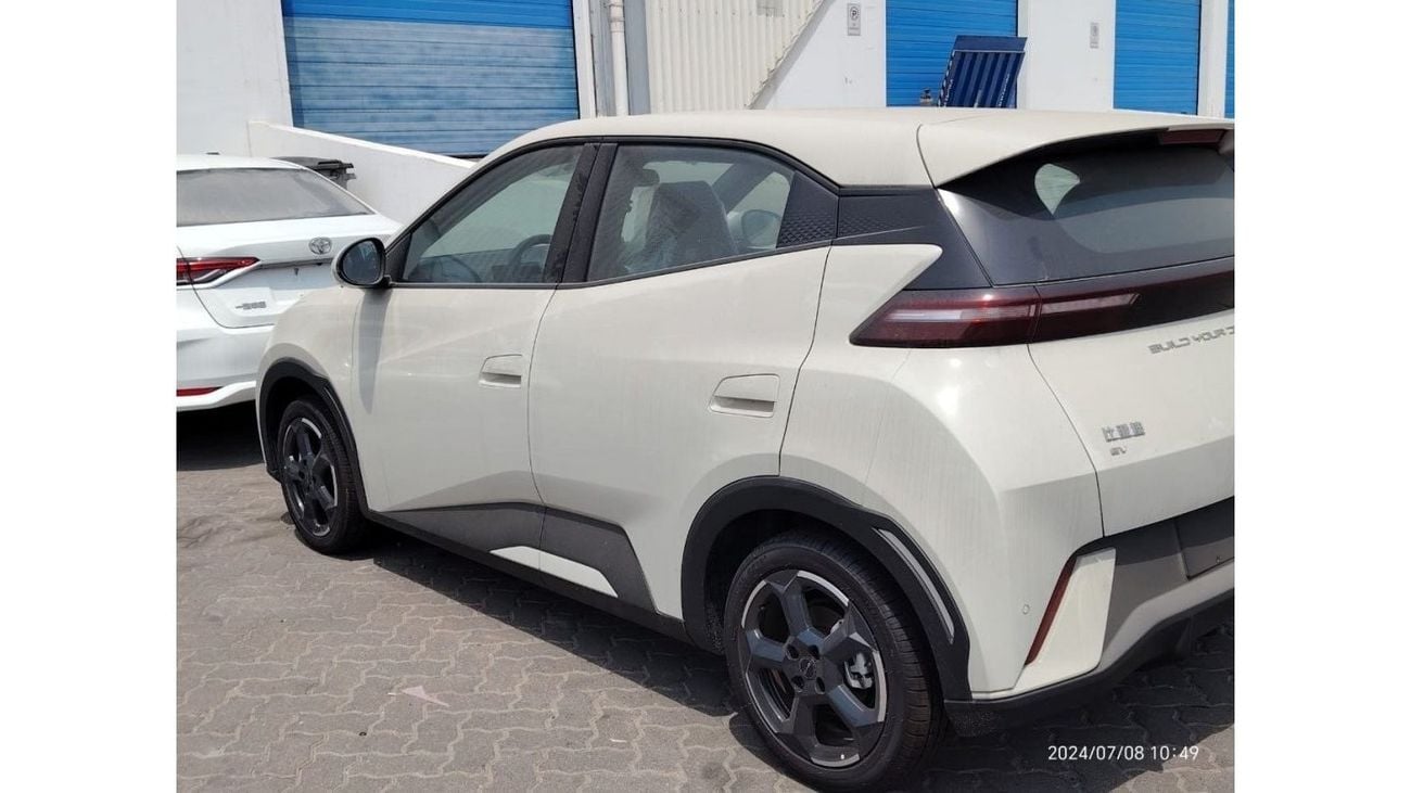 BYD Seagull BYD SEAGULL 2024 FLYING VERSION