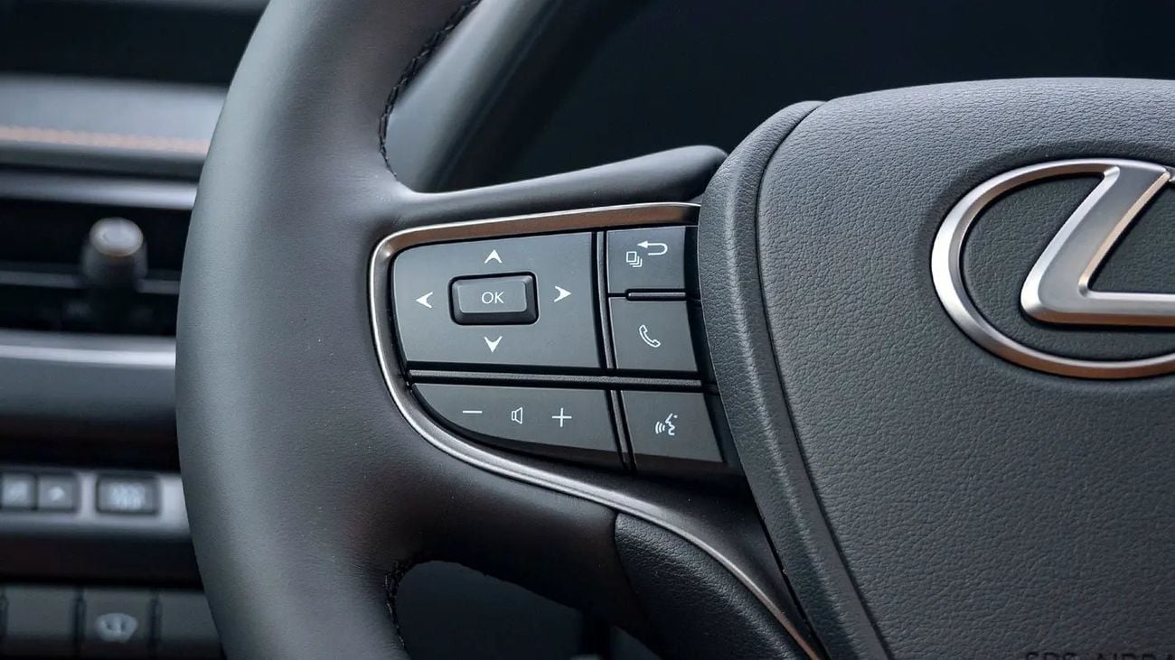 Lexus UX250h UX 250 | 2-YEAR WARRANTY + SERVICE AVAILABLE | IN-HOUSE FINANCING | 0% DOWNPAYMENT (BANK)
