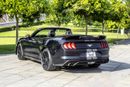 Ford Mustang EcoBoost Premium 2.3L Convertible M/T