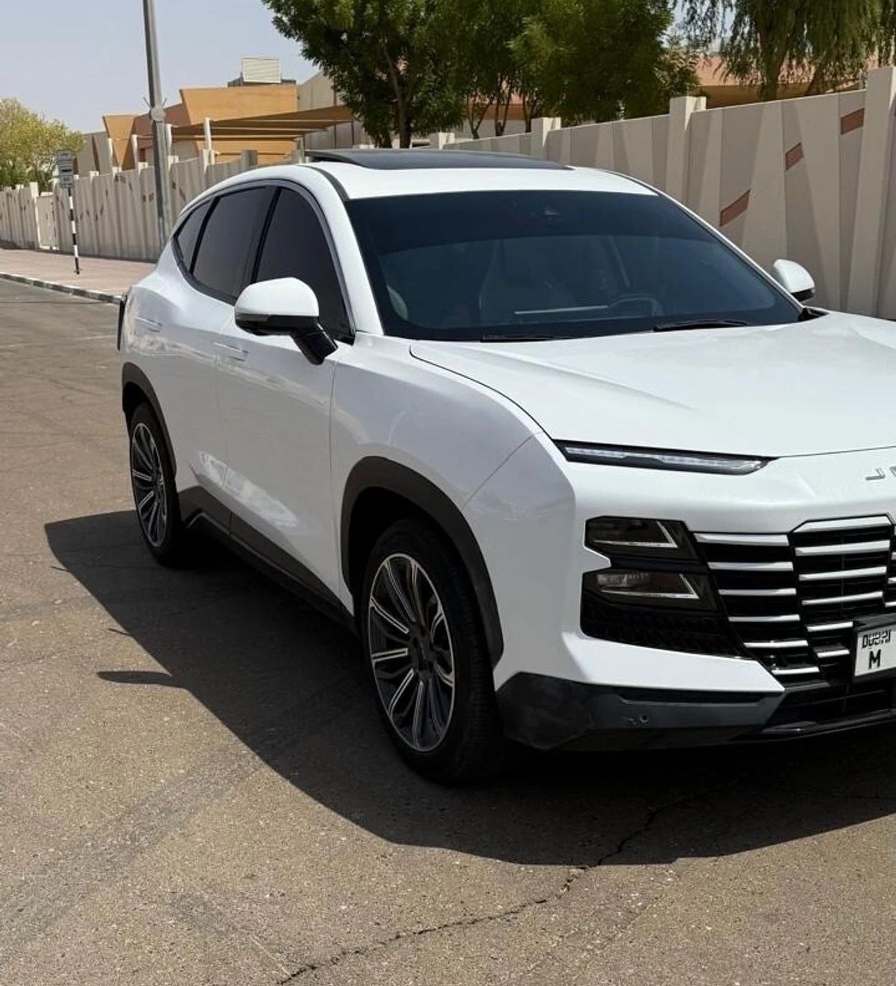 جيتور داشينج