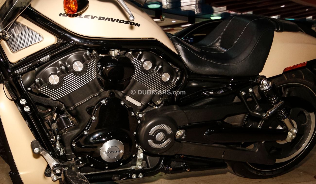 Harley-Davidson VRSCF 1300 CC