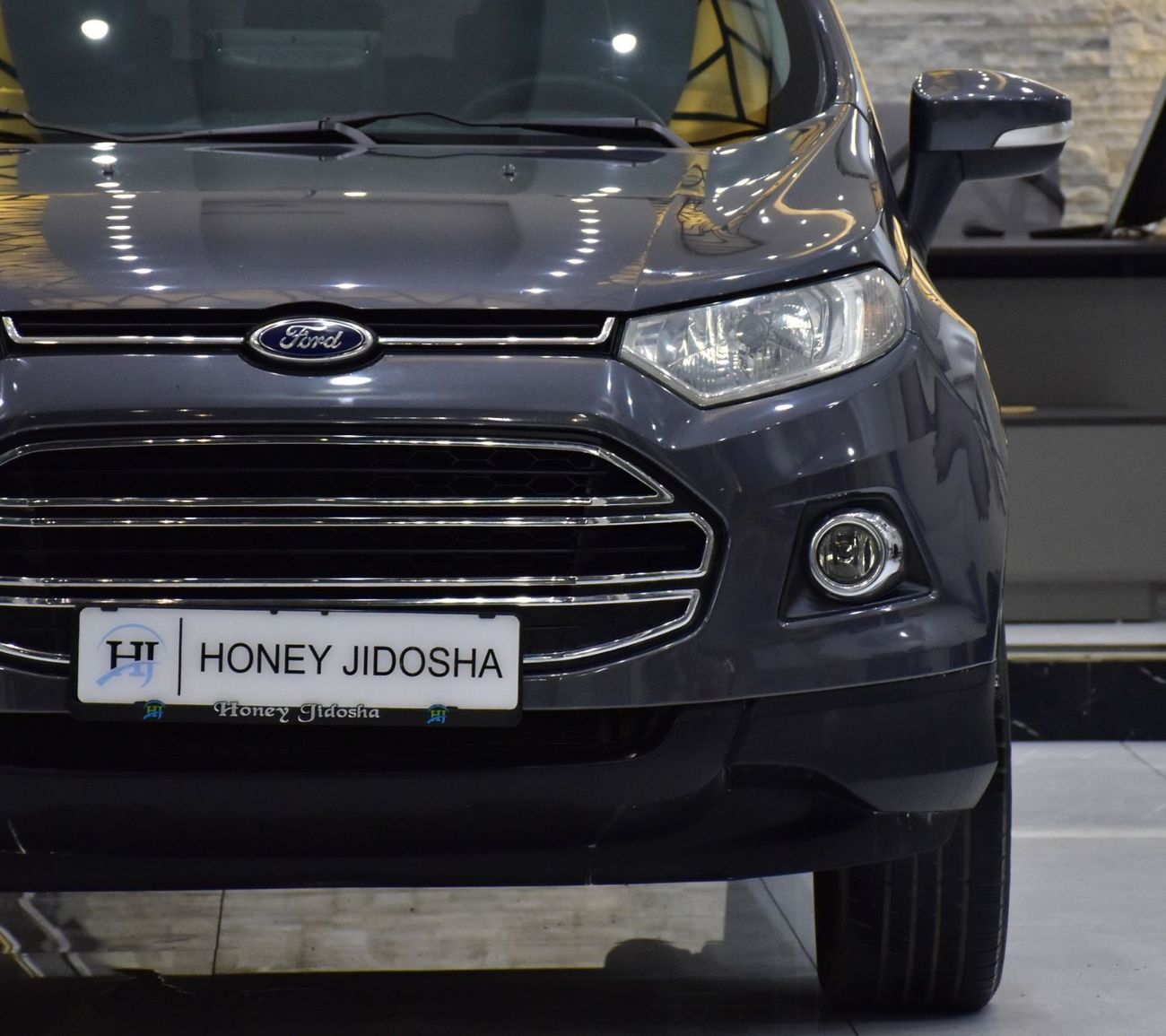 Ford EcoSport EXCELLENT DEAL for our Ford EcoSport ( 2016 Model ) in Grey Color GCC Specs