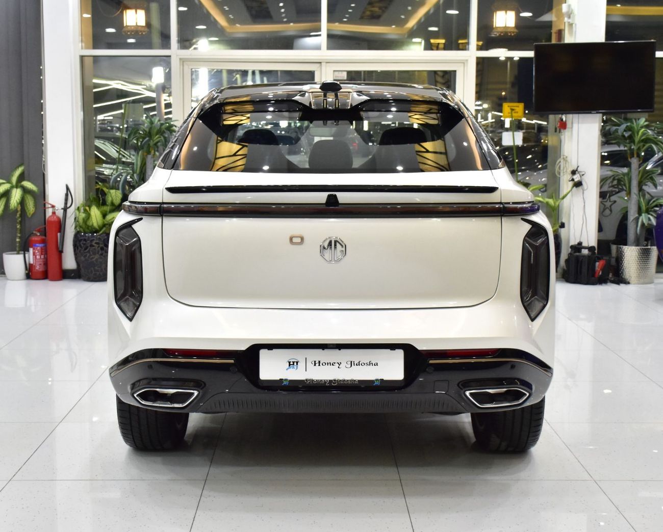 MG Whale EXCELLENT DEAL for our MG Whale ( 2022 Model ) in White Color Chinese Specs
