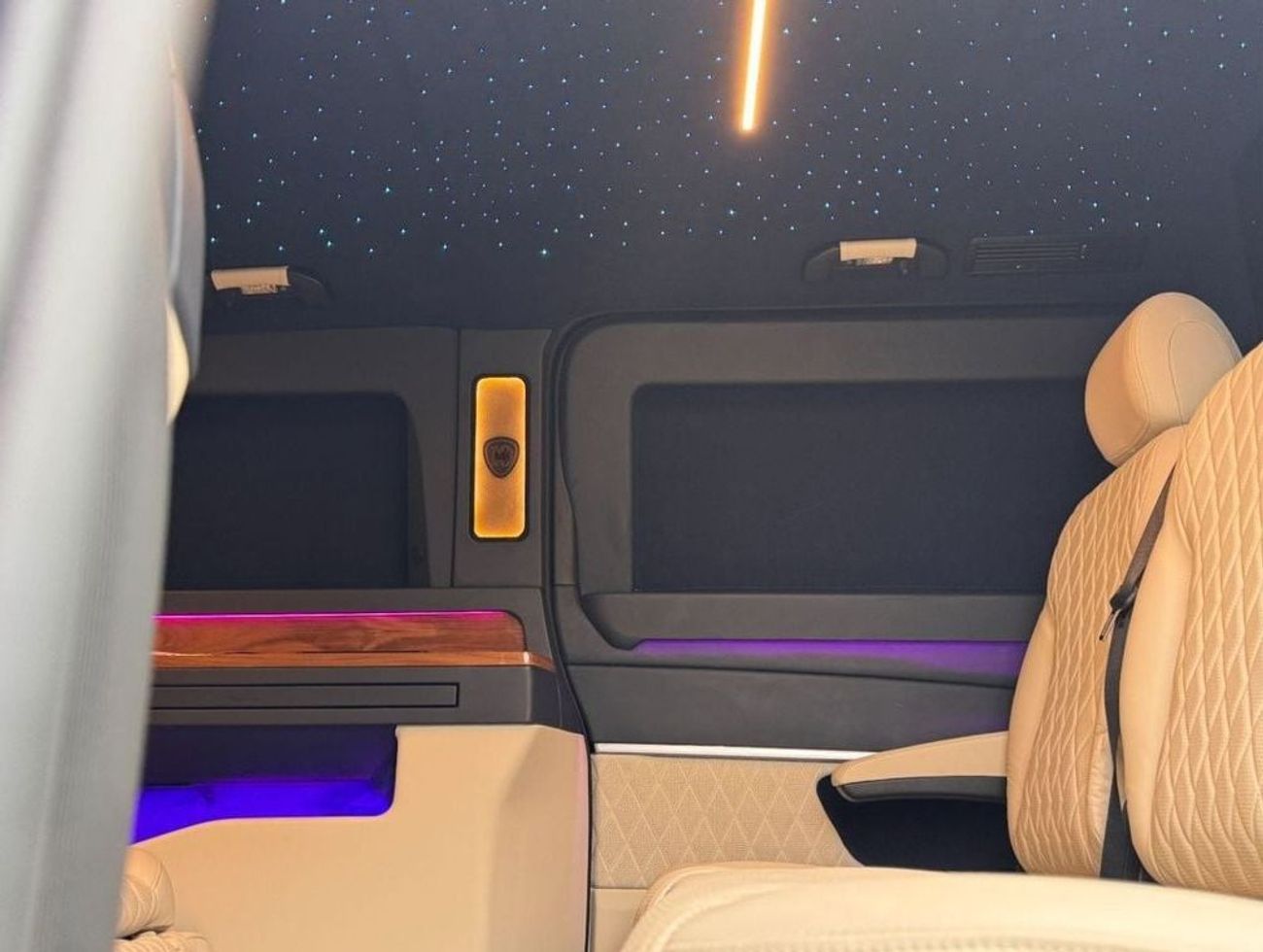 Mercedes Benz V300 AVANTGARDE VIP conversion Brand New 2025 Model in RHD or LHD