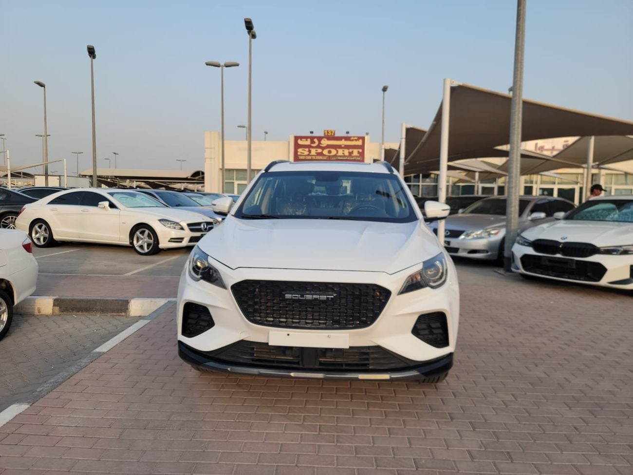 Soueast DX8S ACTIVE