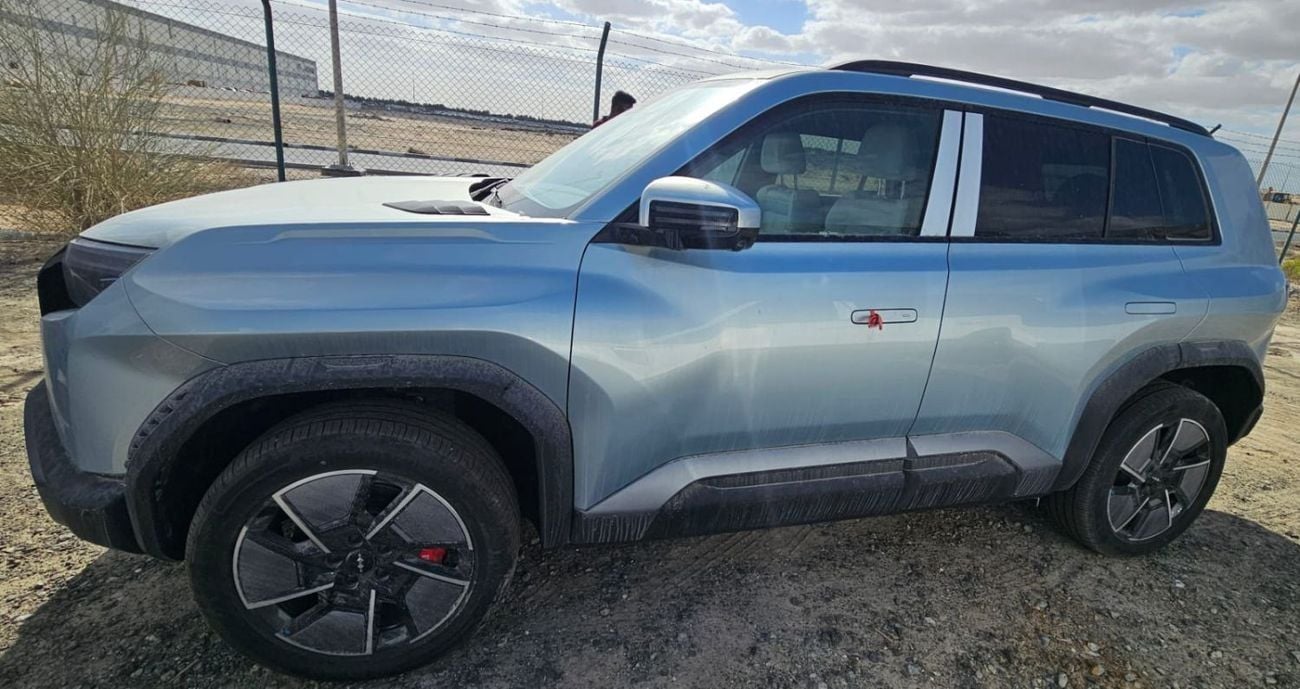 بي واي دي Leopard 3 TITANIUM 501KM AWD