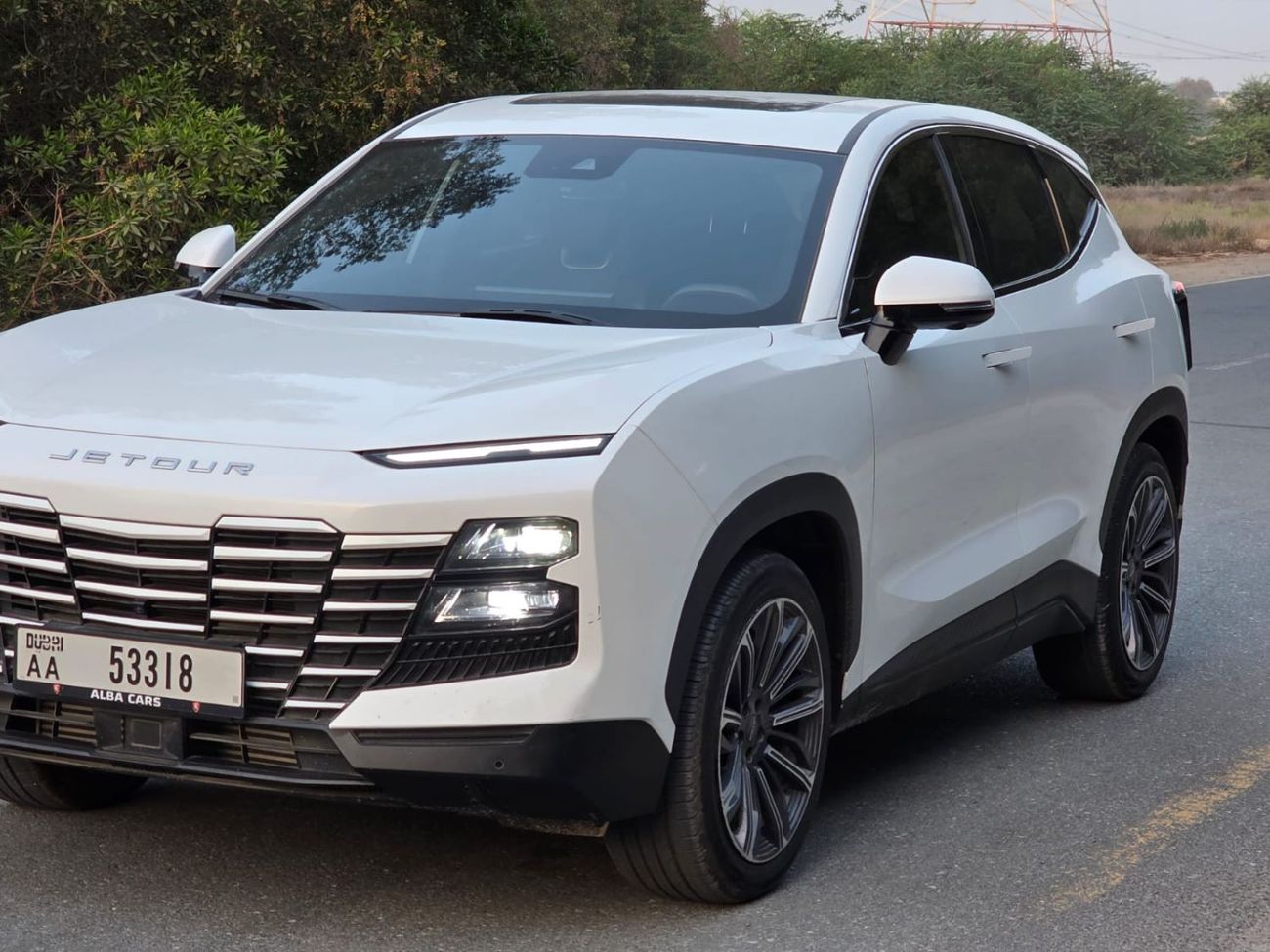 جيتور داشينج