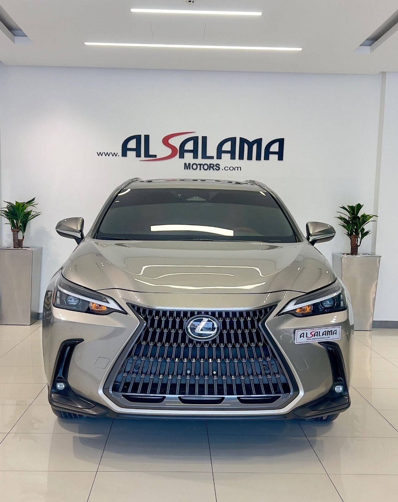 Lexus NX250 PREMIUM (NON GCC)