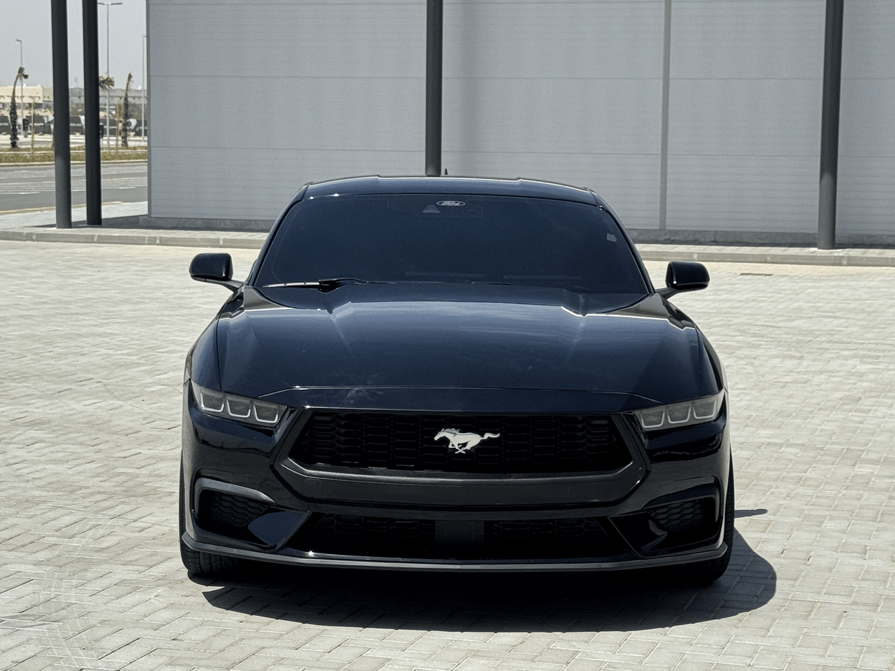 Ford Mustang STD
