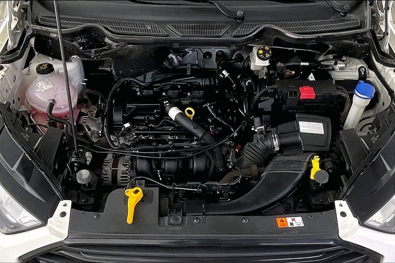 Ford EcoSport Ambiente | Guaranteed Warranty | 0 Down Payment