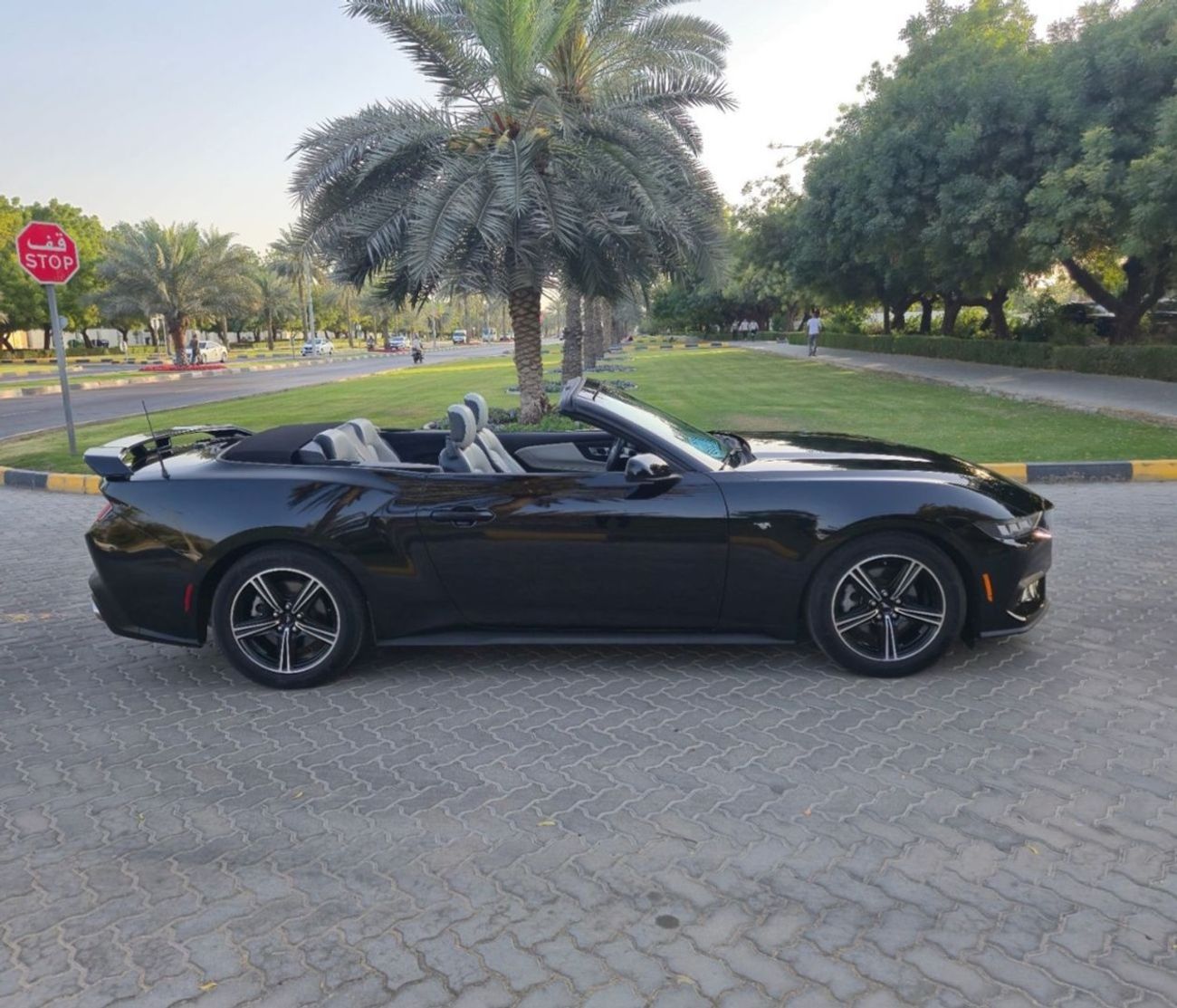 Ford Mustang EcoBoost 2.3L Convertible A/T