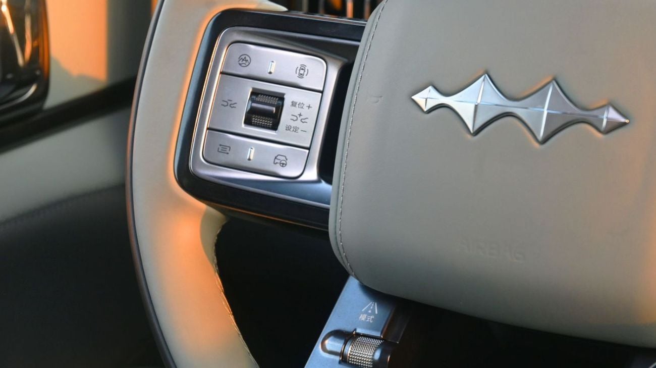 بي واي دي ليوبارد 5