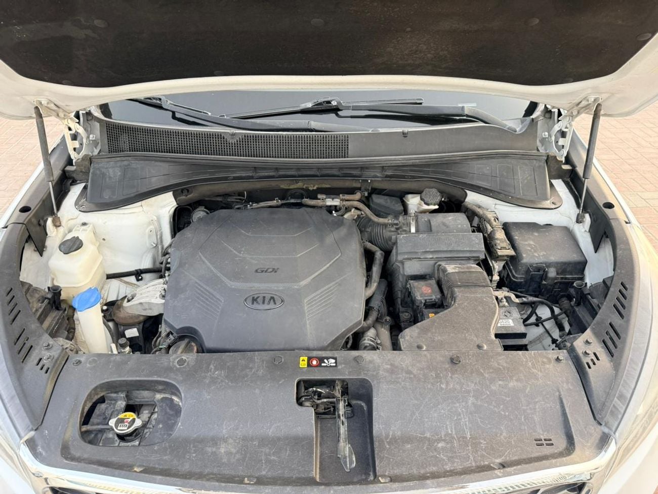 Kia Sorento 2019 KIA SORENTO 3.3L EX White READY 7 LEADER SEATS  5XYPH4A51KG460922