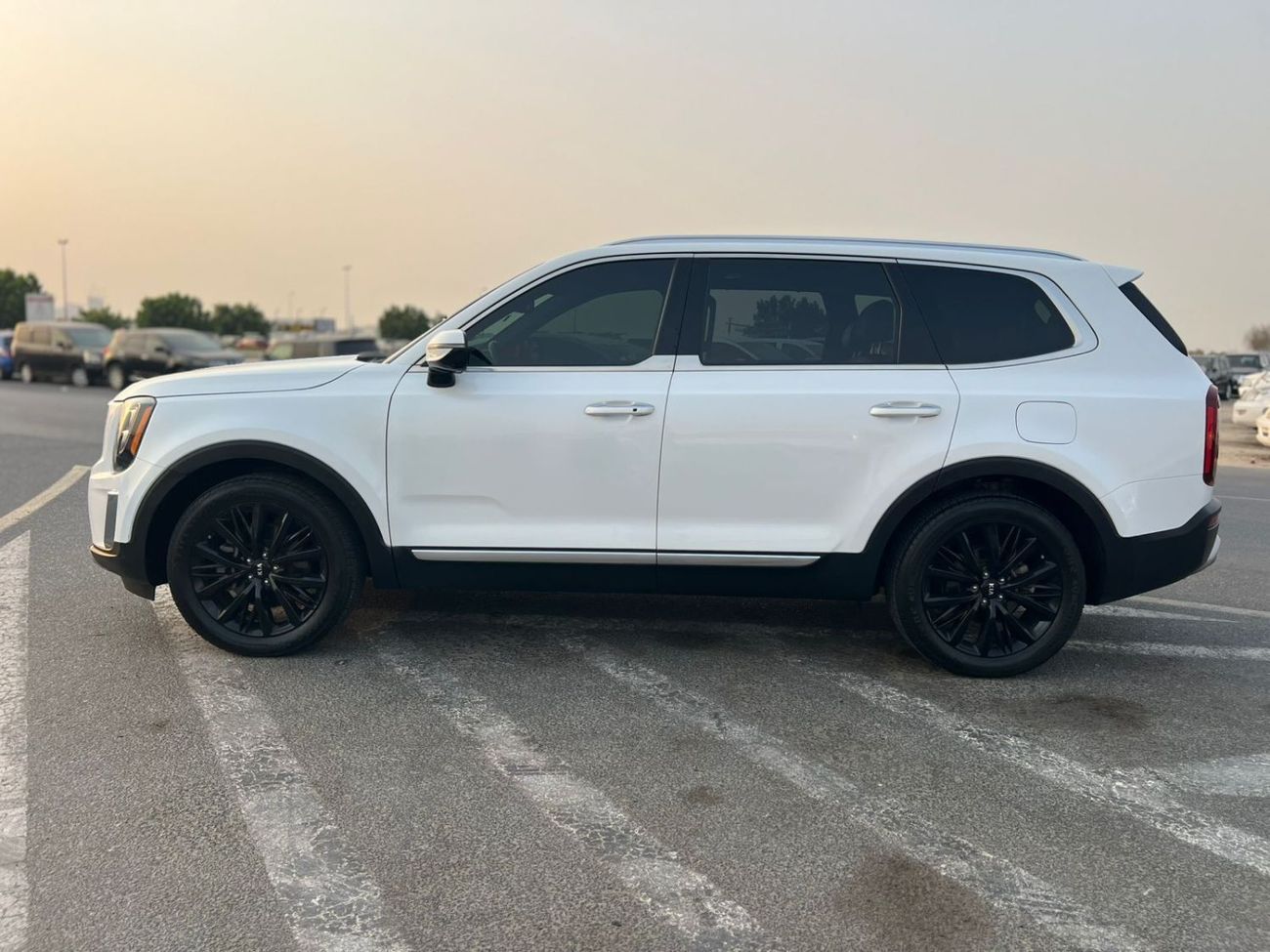 كيا تيلورايد 