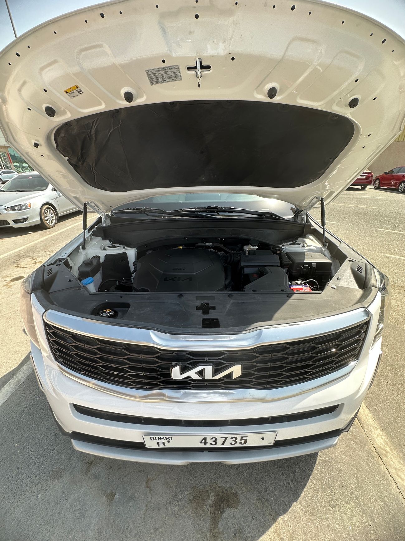 كيا تيلورايد