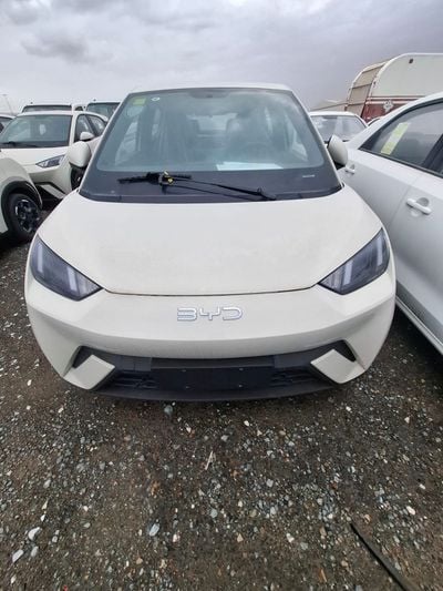 BYD Seagull Glory Edition 405KM Flying Edition