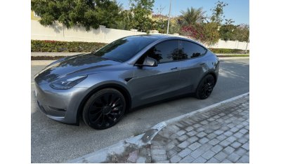 Tesla Model Y Performance