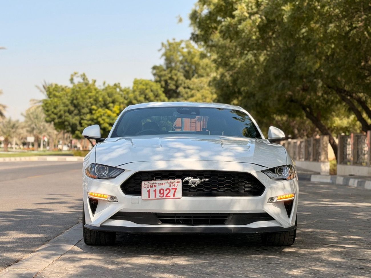 فورد موستانج MACH 1 PREMIUM GT California Special 5.0L (435 HP) Coupe A/T