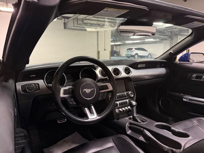 Ford Mustang STANDARD, миниатюра 25