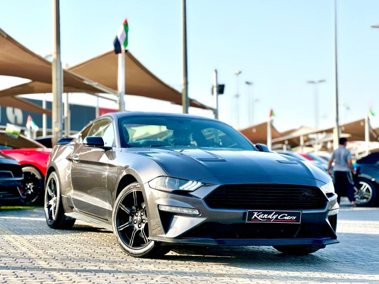 فورد موستانج STD