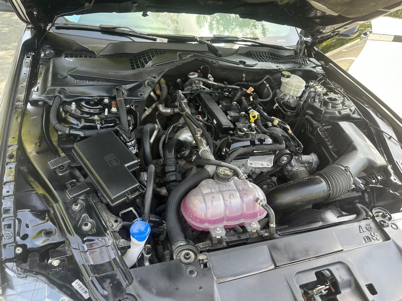 Ford Mustang Ecoboost