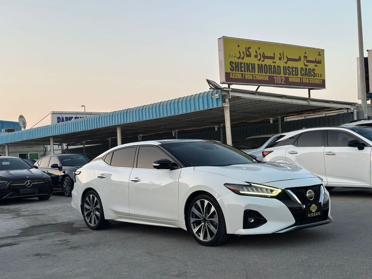 Nissan Maxima SR