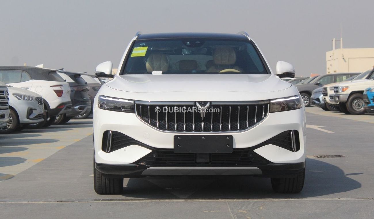 فويا فري Luxury Electric Car AWD 2022 Model Year only for export