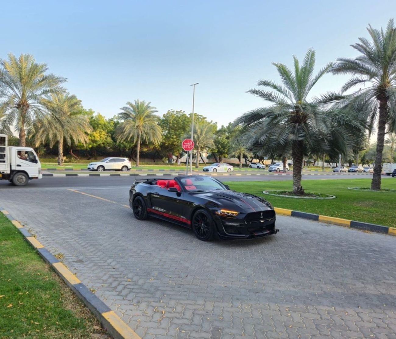 Ford Mustang EcoBoost 2.3L Convertible A/T