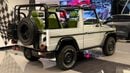 Mercedes Benz G300 European Specs