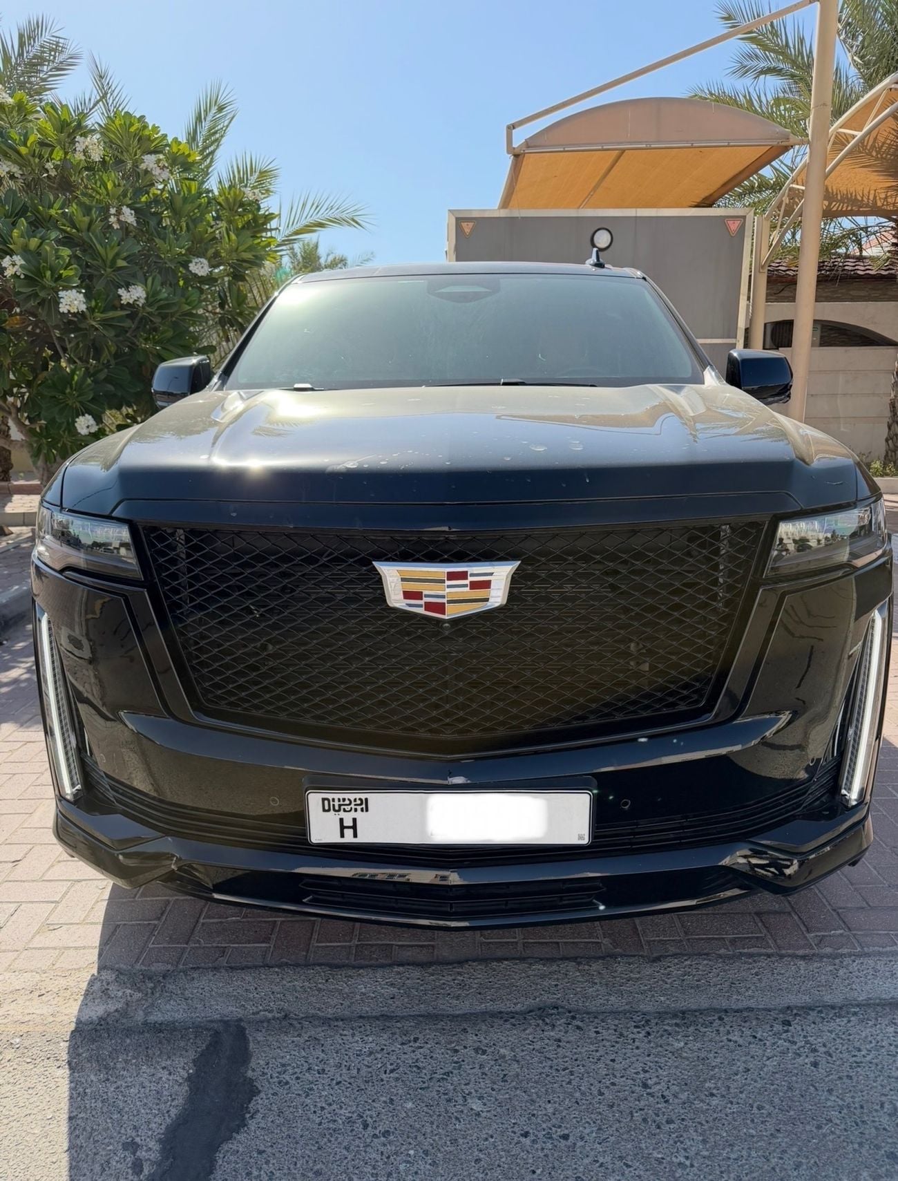 كاديلاك إسكالاد