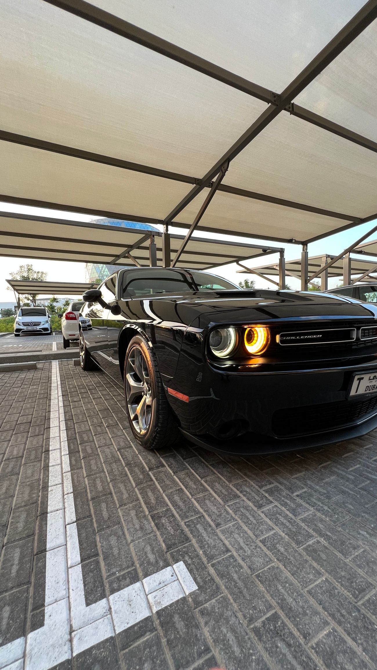 دودج تشالينجر