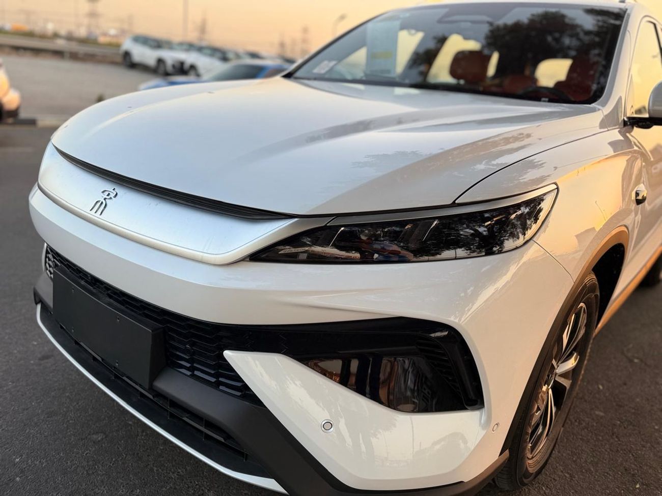 بي واي دي سونغ برو