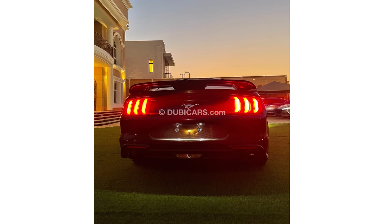 Ford Mustang 4 cylinder Eco Boost