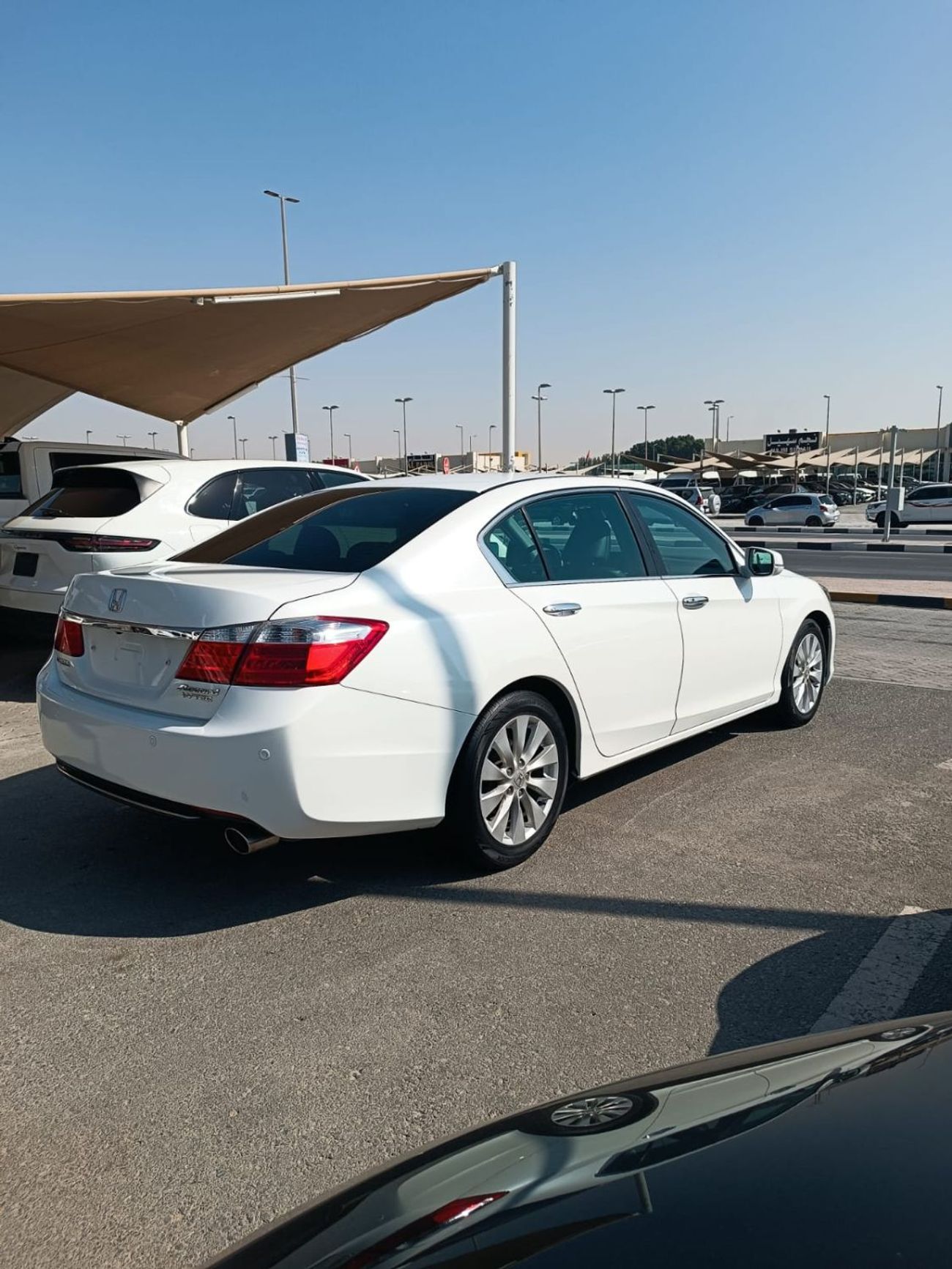 هوندا أكورد