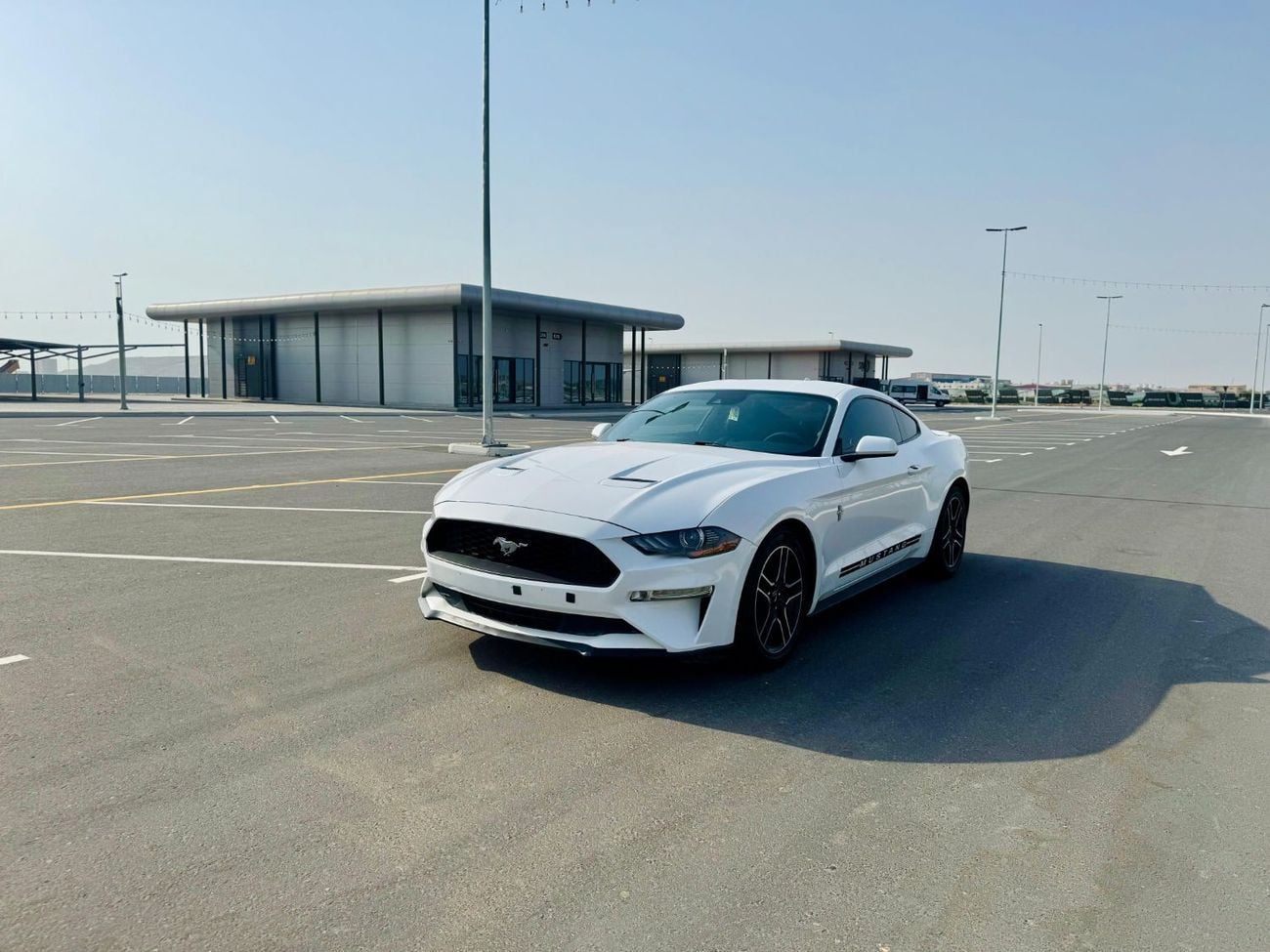 Ford Mustang STD