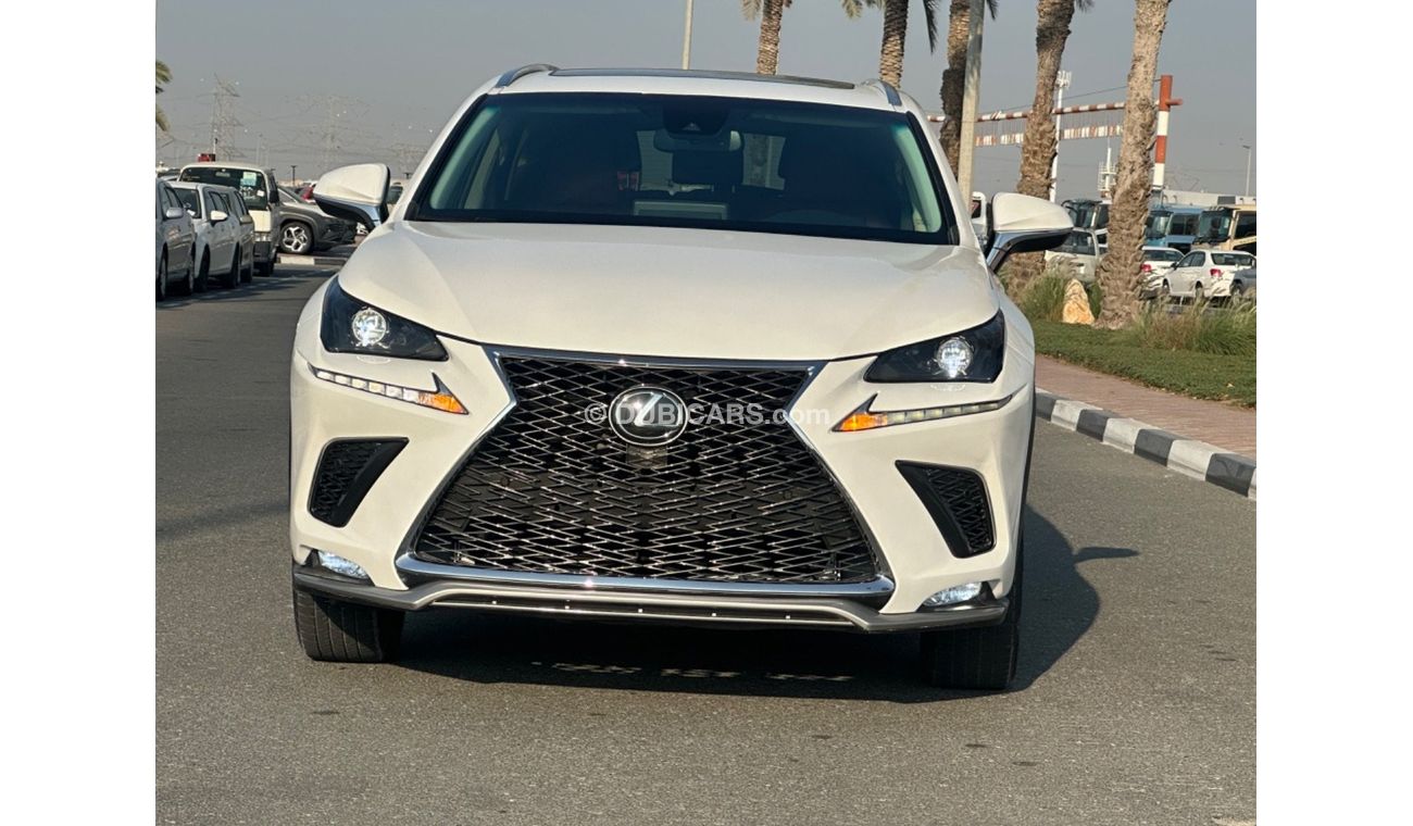 Lexus NX300 Platinum Nx300T 2019 full option