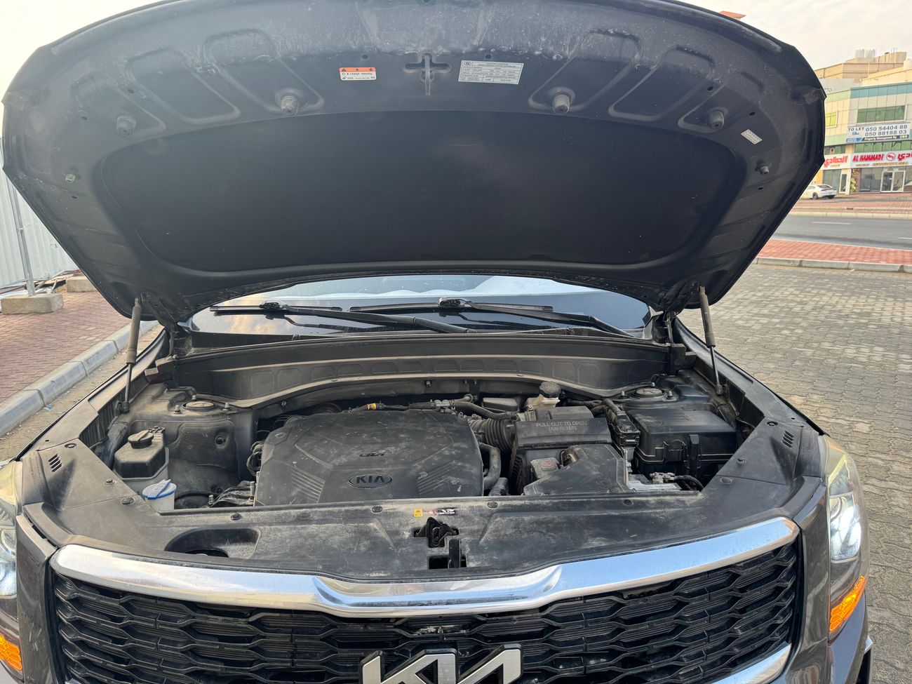 كيا تيلورايد