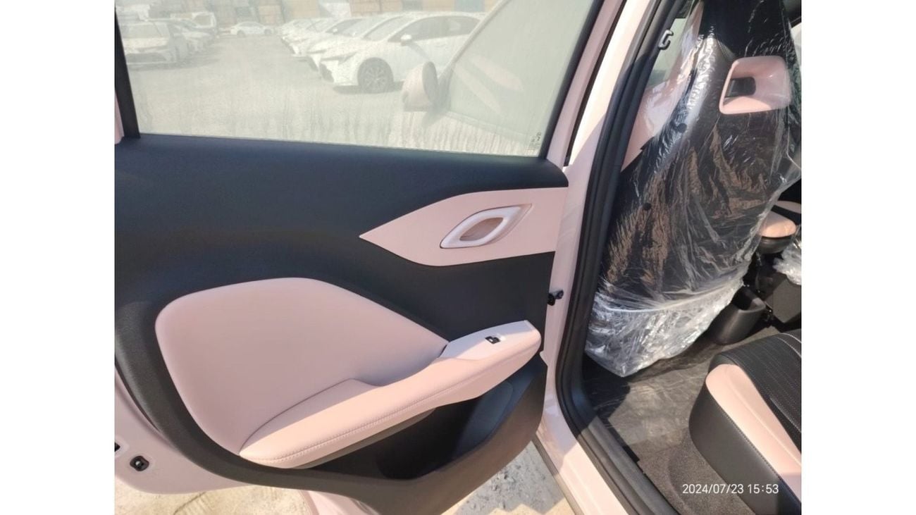 BYD Seagull BYD SEAGULL 2024 FLYING VERSION