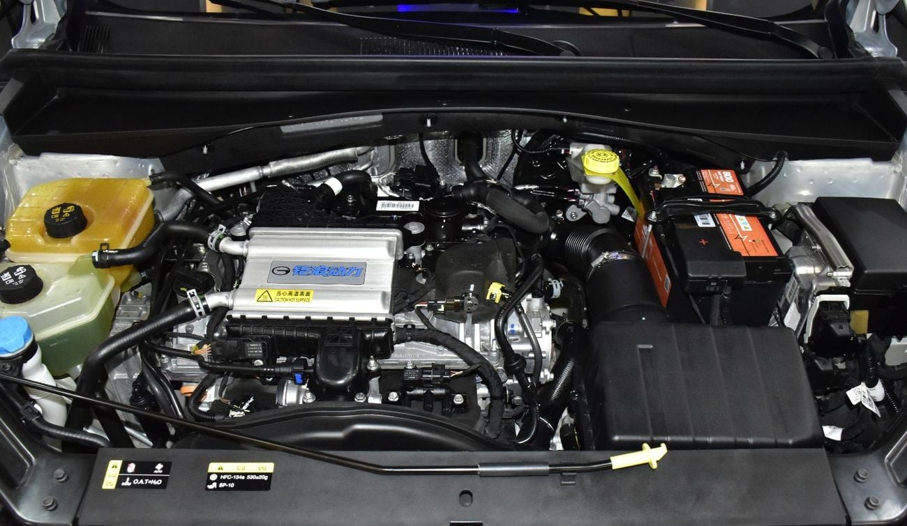 جي إي سي إمكو EXCELLENT DEAL for our GAC Emkoo ( 2024 Model ) in Silver Color GCC Specs