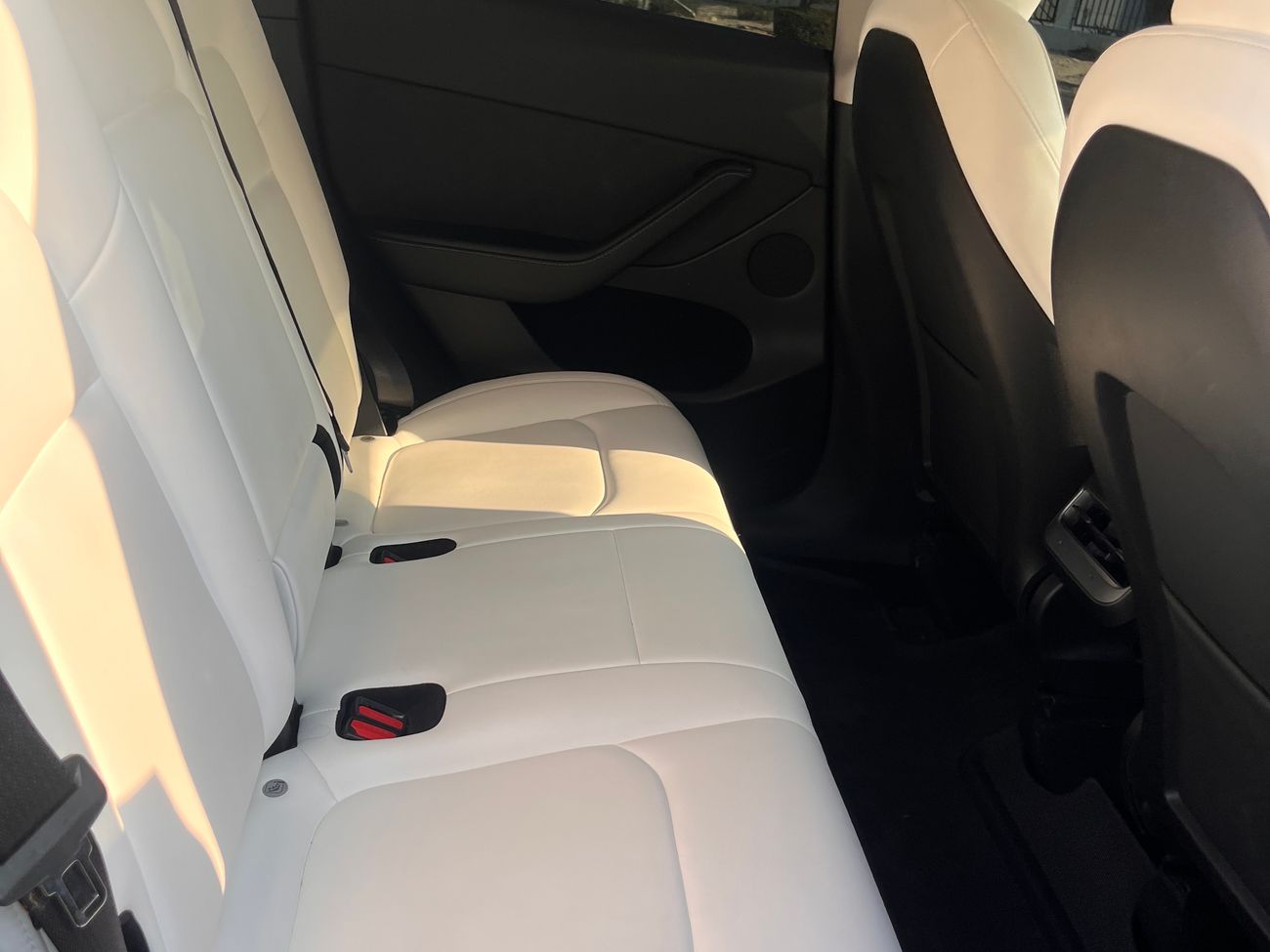 تسلا موديل Y