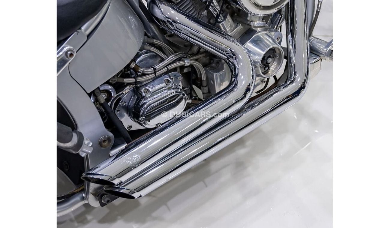 هارلي ديفيدسون بج دوغ HARLEY DAVIDSON BIG DOG CHOPPER + VANCE AND HINES EXHAUST SYSTEM - FLAME EDITION