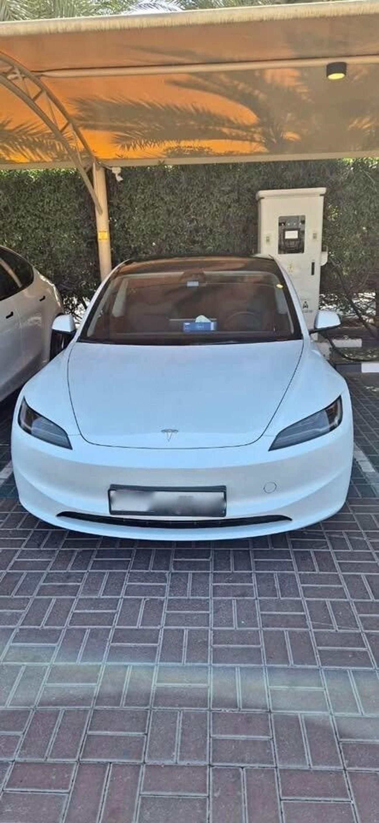 Tesla Model 3 Rear-Wheel Drive