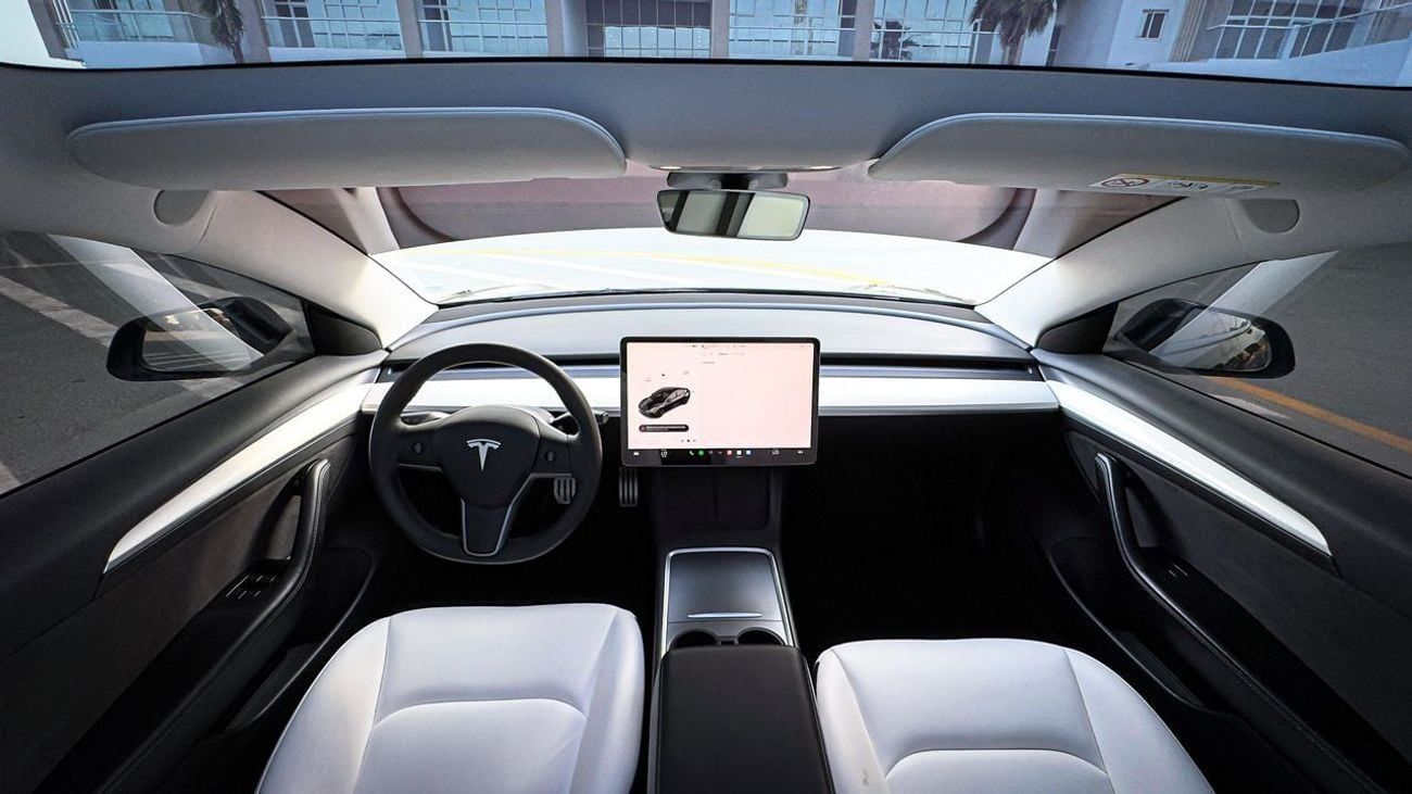 Tesla Model 3 Performance (AWD)