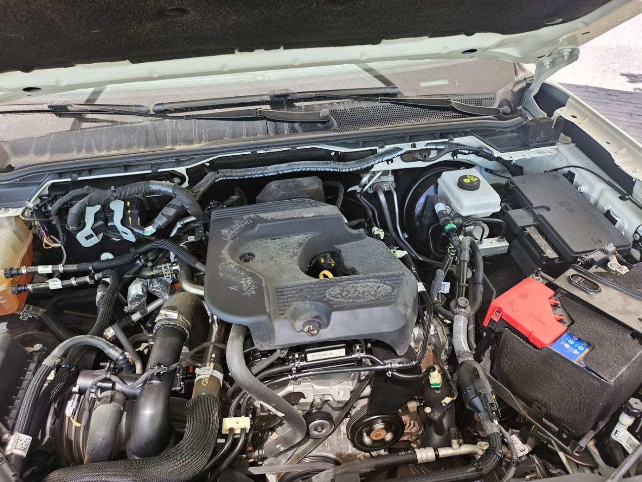 Ford Everest XLS