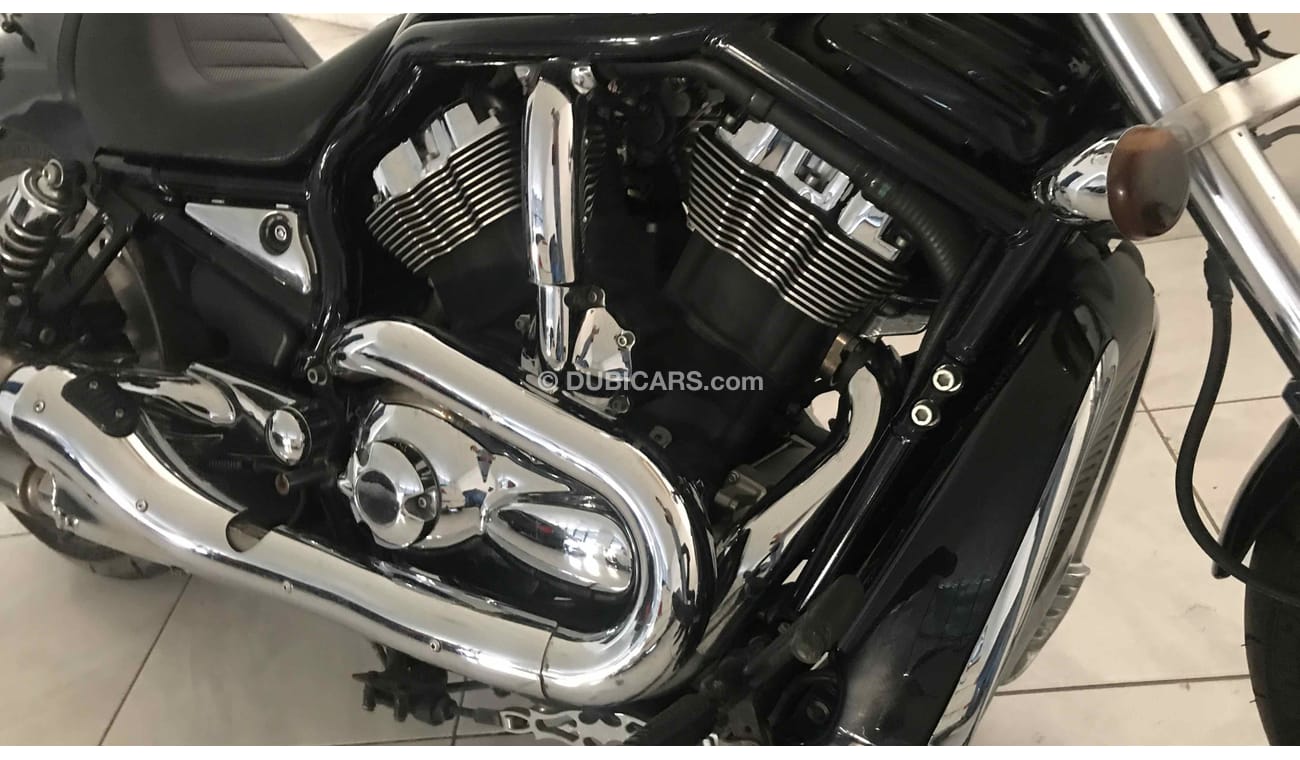 Harley-Davidson VRod 1259 CC